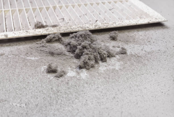 Best Air Duct Cleaning Near Me  in Pittsboro, IN